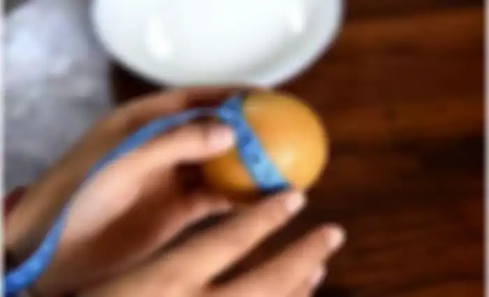 Benda mirip telur yang ada di dalam tubuh ayam