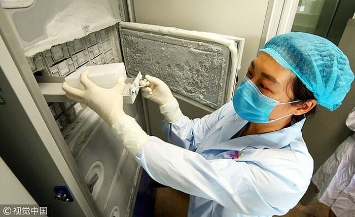 Beredar Foto Langka Penampakan Laboratorium Wuhan yang Simpan 1500 Virus Mematikan, Terdapat Segel yang Rusak Perkuat Kecurigaan Dunia Tentang Asal Mula Covid-19, Donald Trump Putuskan Bekukan Pendanaan