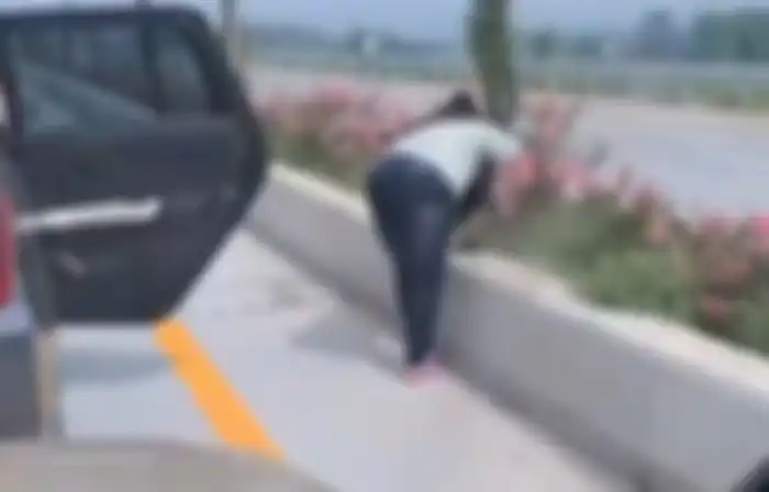 Emak-emak cabut tanaman di exit Tol Singosari, Malang-Jatim (16/12/2019).