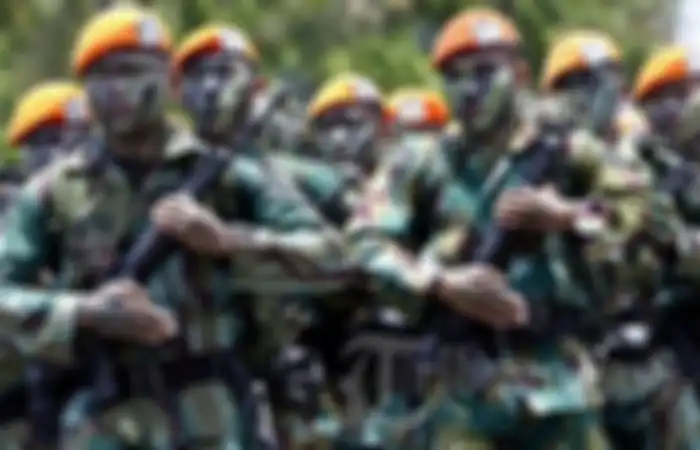 Paskhas TNI AU