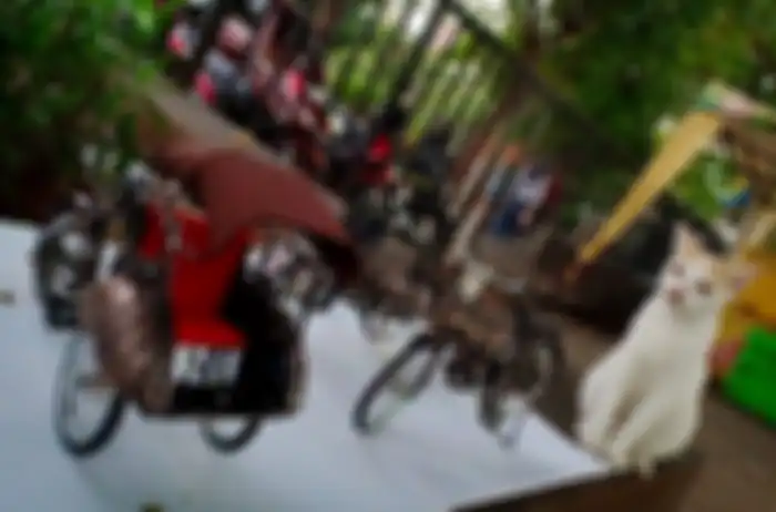 Dagangan di Taman Monas