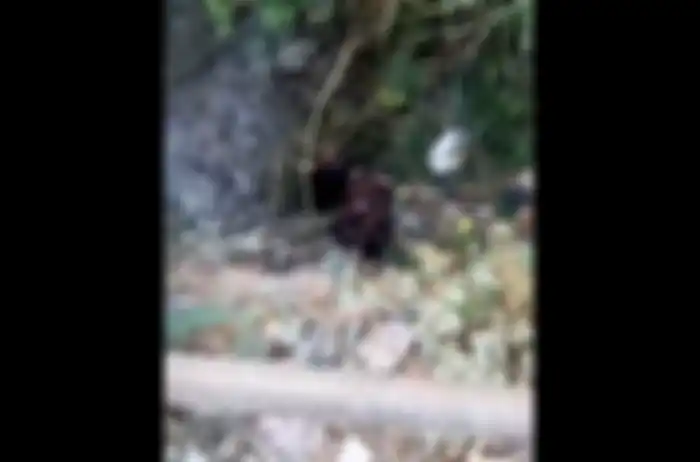 Korban terkapar di bawah jembatan