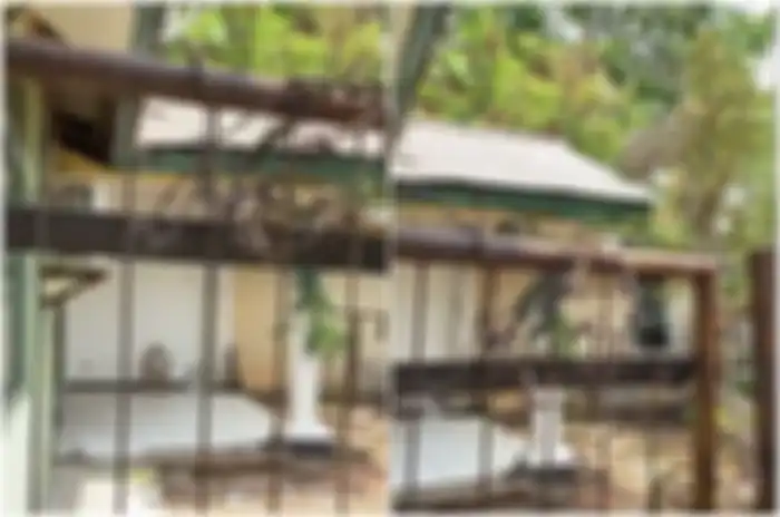 Bagian belakang rumah pertama AHY dan Annisa Pohan