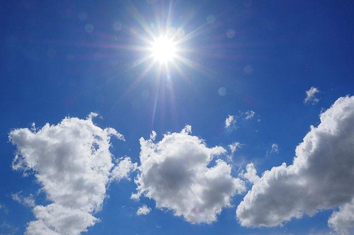 Memanfaatkan intensitas matahari, solar panel jadi sember energi ramah lingkungan.