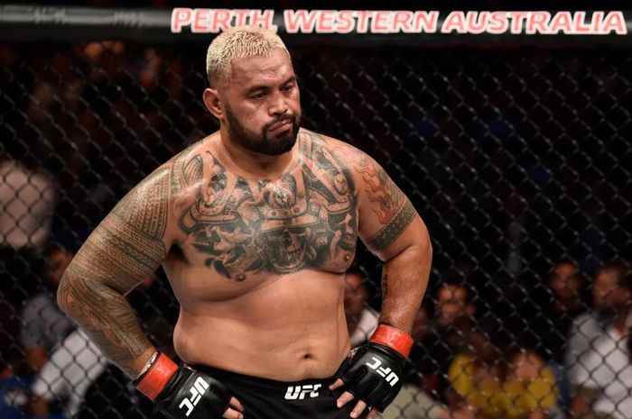 Petarung UFC asal Selandia Baru, Mark Hunt