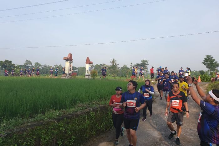 Para pelari Mandiri Jogja Marathon 2019 melintasi sawah di sebelah lintasan.