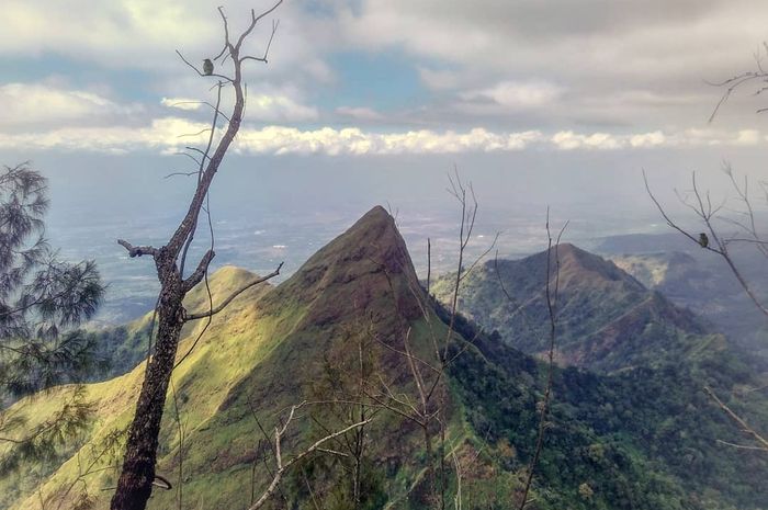 Gunung Piramid Bondowoso
