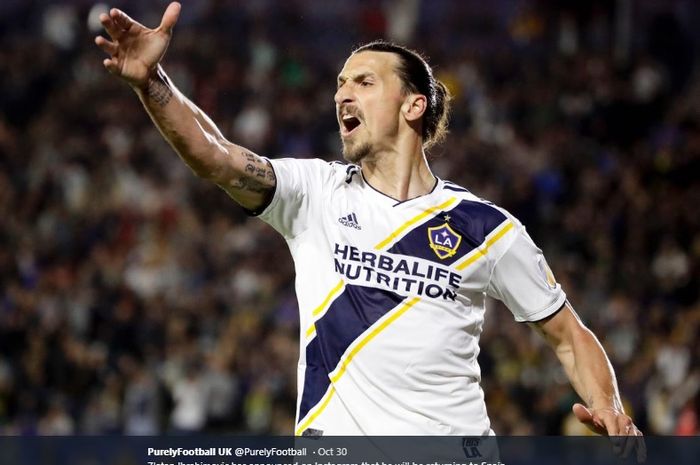 Penyerang Los Angeles Galaxy asal Swedia, Zlatan Ibrahimovic.