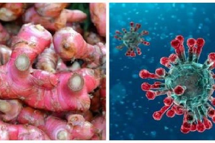 Khasiat jahe merah dalam menangkal virus corona