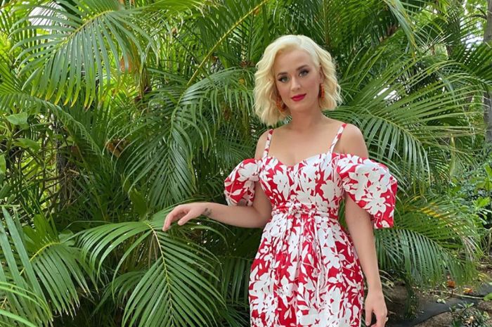 Jenis kelamin calon anak pertama Katy Perry akhirnya terungkap 