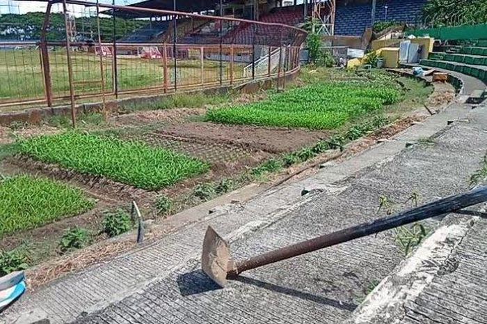 Kondisi Stadion Mattoanging, Makassar, yang beralih fungsi jadi kebun pada area tribun terbuka setelah lama tidak digunakan, Rabu (20/5/2020).