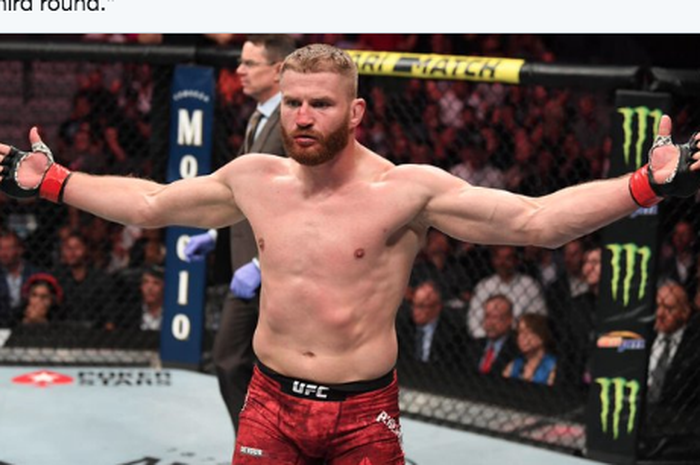 Petarung divisi berat ringan UFC, Jan Blachowicz.