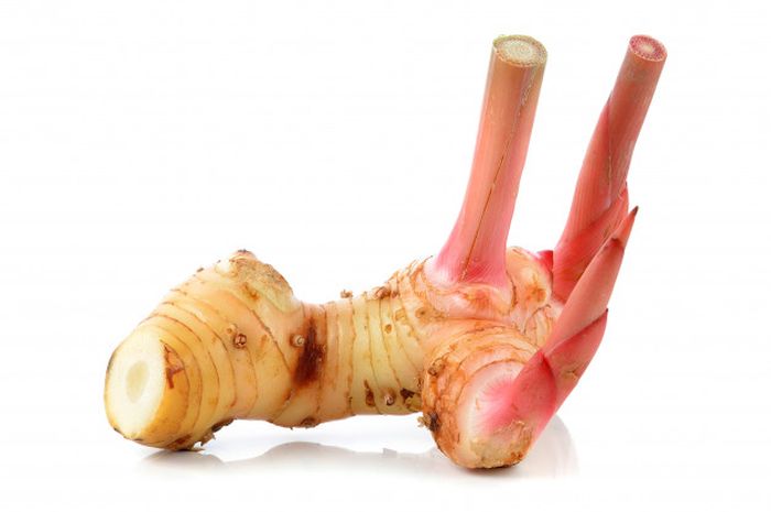 Lengkuas punya banyak manfaat, mulai dari bahan campuran minuman sampai obat bagi wanita pasca melahirkan. 