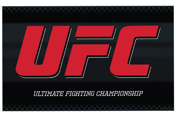 Logo UFC
