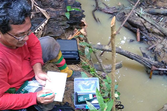 Hutan Hujan Borneo - Ilmuwan menemukan spesies baru - kitiranmedia.com