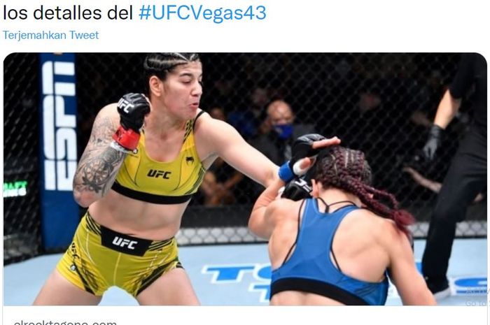 Ketlen Vieira vs Miesha Tate pada event UFC Vegas 43, Minggu (21/11/2021)