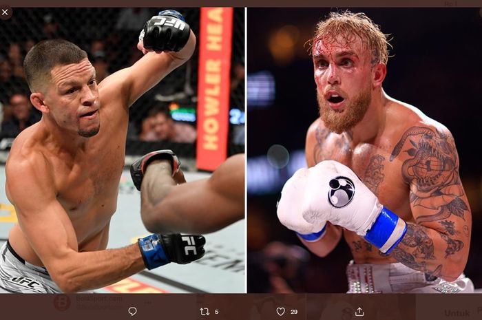 Nate Diaz berniat melakoni duel tinju dengan Jake Paul yang kemudian dikomentari oleh Presiden UFC, Dana White.