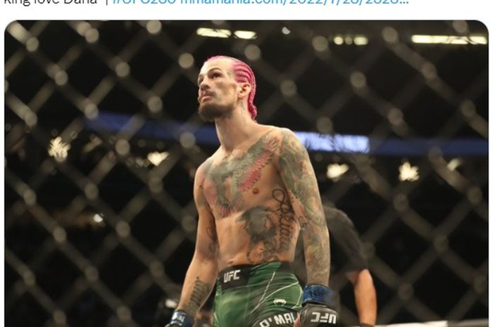 Sean O'Malley dapat tips dari Cory Sandhagen soal cara mengalahkan Merab Dvalishvili