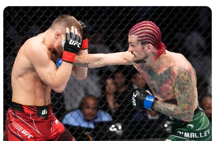 Dengan kemampuannya, raja kelas bantam UFC, Sean O'Malley, diyakini bisa mengalahkan banyak petinju profesional.
