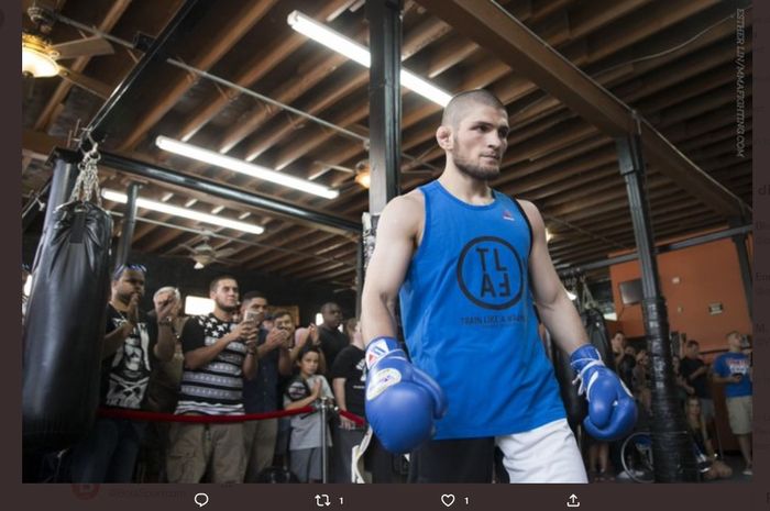 UFC disebut sudah memiliki calon jagoan yang bisa menjadi versi Amerika dari mantan raja kelas ringan, Khabib Nurmagomedov.
