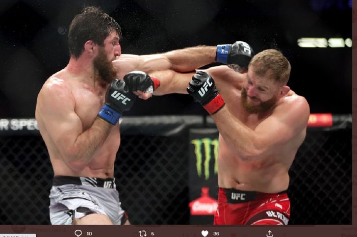 Magomed Ankalaev (kiri) sedang beradu pukulan melawan Jan Blachowicz dalam pertandingan gelar pada main event UFC 282 yang bergulir di T-Mobile Arena, Las Vegas, Amerika Serikat, Minggu (11/12/2022) siang Waktu Indonesia.