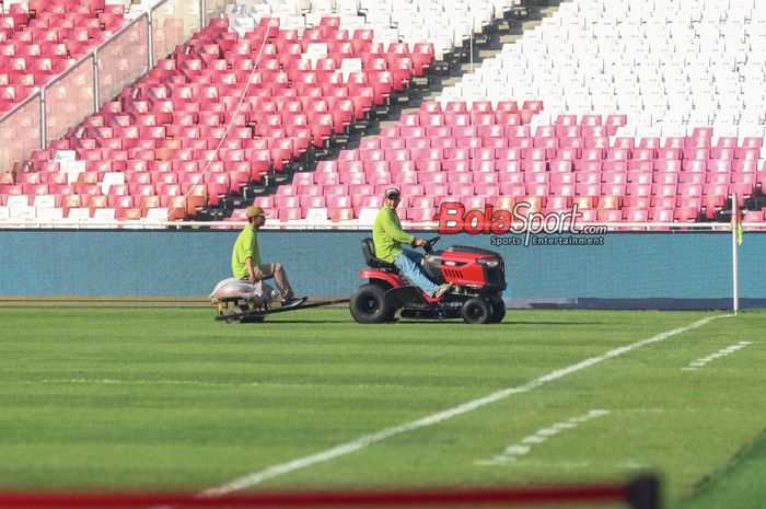 Sejumlah petugas sedang mempersiapkan rumput di Stadion Utama Gelora Bung Karno, Senayan, Jakarta, Rabu (5/6/2024).