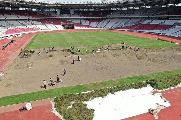 Proses perbaikan rumput Stadion Utama Gelora Bung Karno, Jakarta