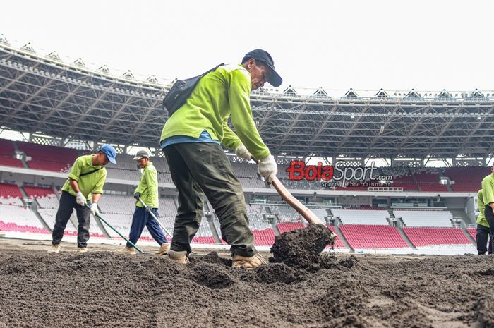 Proses sejumlah pekerja dalam revitalisasi rumput di Stadion Utama Gelora Bung Karno, Senayan, Jakarta, Rabu (10/7/2024).