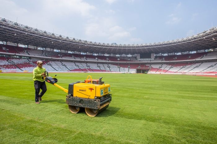 Kondisi rumput Stadion Utama Gelora Bung Karno (SUGBK) Jakarta, Senin (12/8/2024).