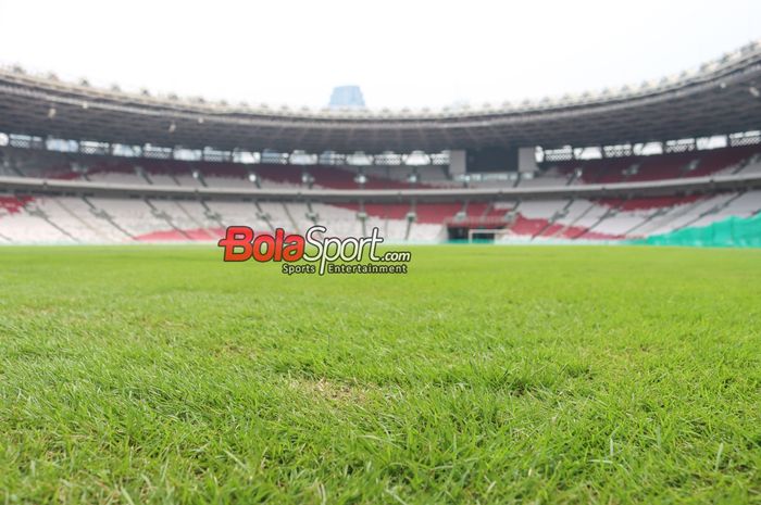 Kondisi rumput Stadion Utama Gelora Bung Karno (SUGBK) kembali dikritik, Ketum PSSI Erick Thohir pun langsung menyenggol pengelola.  