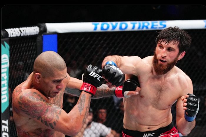 Di balik duel UFC 313, Magomed Anakalaev rupanya tak sengaja rusak rencana Alex Pereira