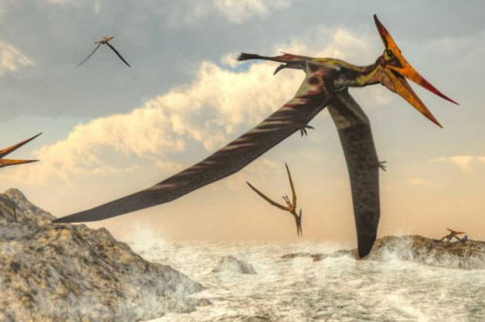 Menyamakan pterosaurus dengan dinosaurus sama kelirunya dengan menyebut manusia sebagai marsupial. pterosaurus bukanlah dinosaurus.