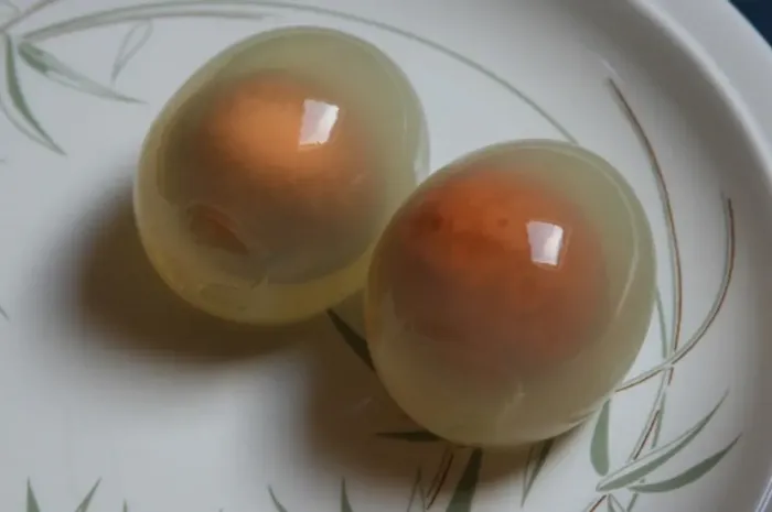 Mengapa Bagian 'Putih' Telur Penguin Ketika Direbus Jadi Transparan?