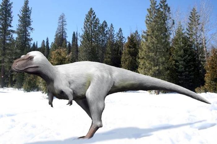 Comment les dinosaures ont-ils surmonté le froid pour survivre et dominer la Terre ?