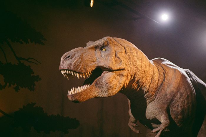 ティラノサウルス恐竜はどのようにして自分の頭蓋骨を砕かずにこれほど強く噛んだのでしょうか?