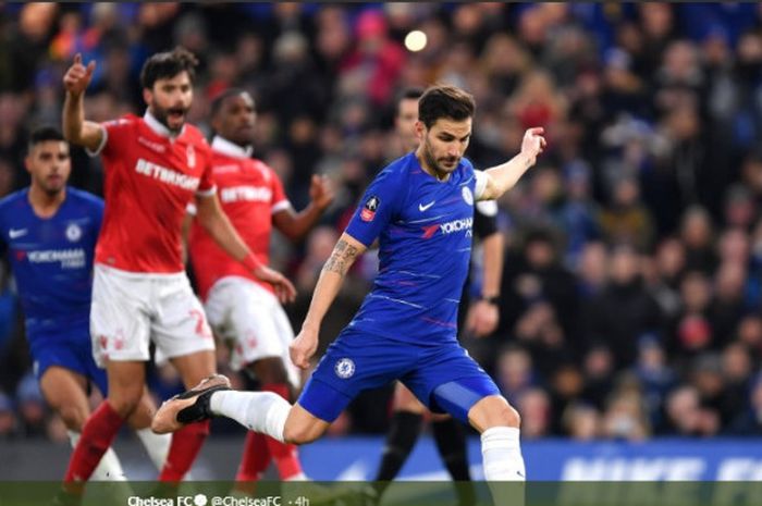 Gelandang Chelsea, Cesc Fabregas saat mengeksekusi penalti dalam laga melawan Nottingham Forest, pada pertandingan babak ketiga Piala FA di Stadion Stamford Bridge, Sabtu (5/1/2019).