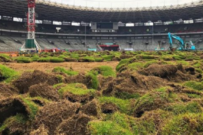 Kondisi rumput SUGBK saat tahap pembongkaran.