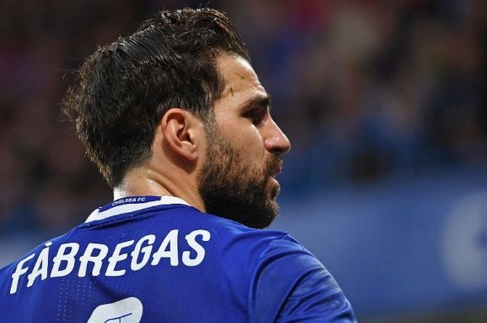 Cesc Fabregas dalam pertandingan Emirates Cup antara Chelsea kontra Peterborough United di Stamford Bridge, 08 Januari 2017. 