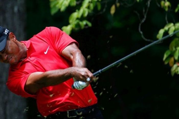 Tiger Woods melakukan pukulan dalam putaran final Wyndham Championship di Sedgefield Country Club, Greensboro, North Carolina, 23 Agustus 2015.