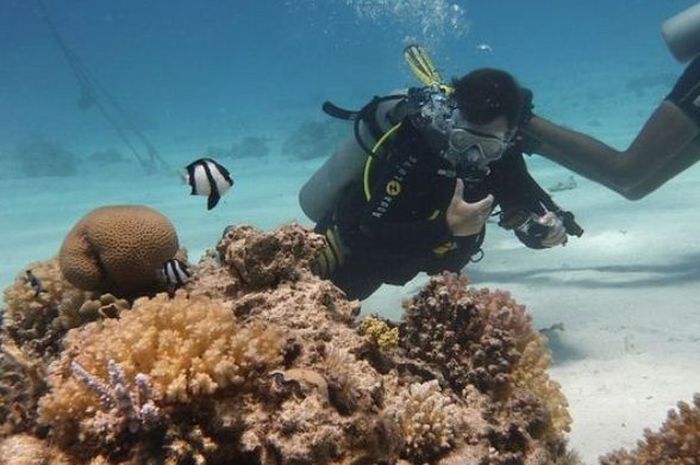 Saat scuba diving, kita akan menggunakan beberapa alat menyelam.