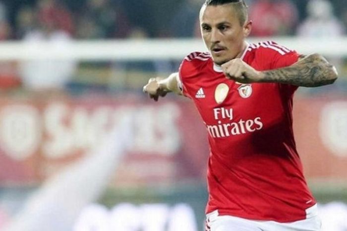 Ljubomir Fejsa ketika membela Benfica