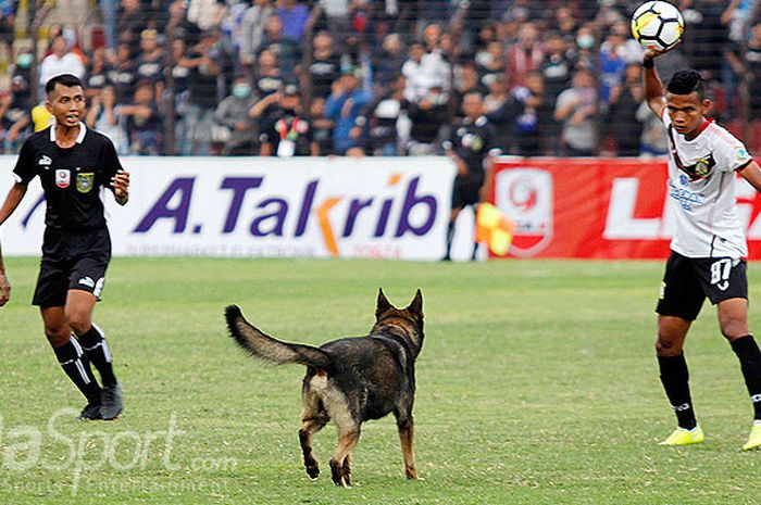 Pemain Persiba Balikpapan, Ikhfanul Alam (kanan), berupaya mengusir seekor anjing polisi yang masuk ke lapangan di tengah pertandingan antara PSIM Yogyakarta melawan Persiba Balikpapan dalam laga lanjutan Liga 2 di Stadion Sultan Agung, Bantul, Selasa (15/5/2018).