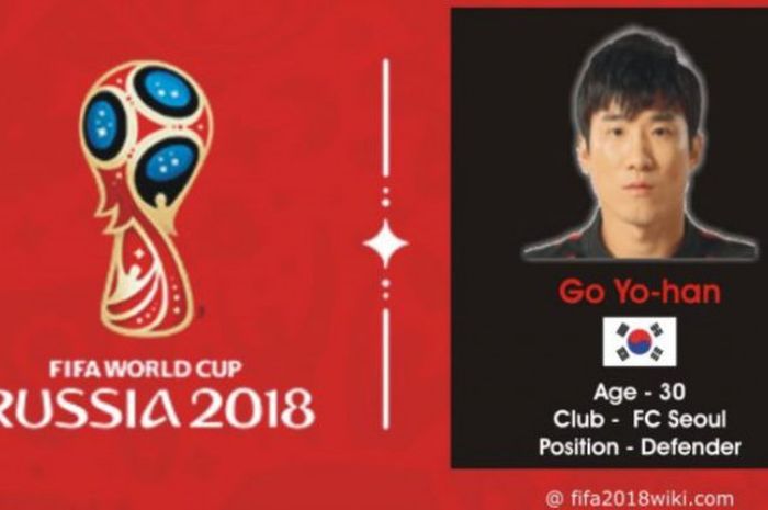 Profil pemain timnas Korsel pada Piala Dunia 2018, Go Yo-han.