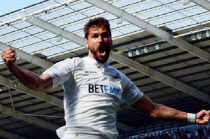 Striker Swansea City, Fernando Llorente