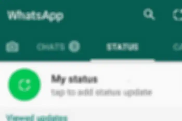 Status WhatsApp