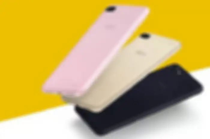 Asus ZenFone 4 Max ZC520KL 