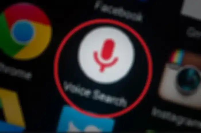 Google Voice Search Eror