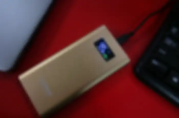 Delcell Tornado 10000mAh