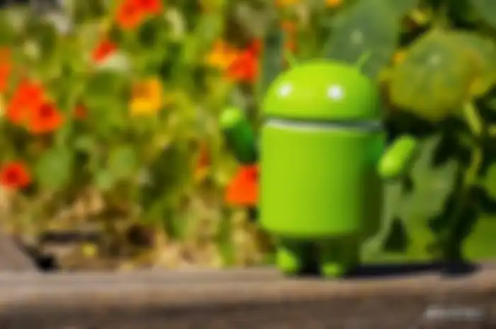 Desain androdi P
