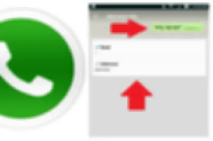 WhastApp laporan dibaca 